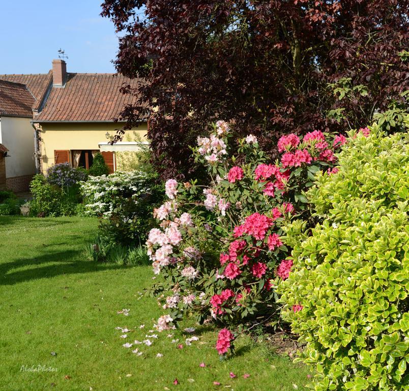 Gite Des Hortillonnages Camon  Exterior foto
